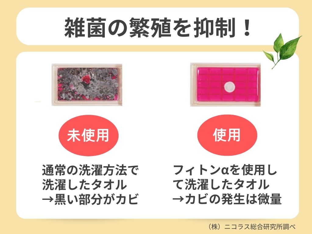 フィトンα,部屋干しのニオイ,通販