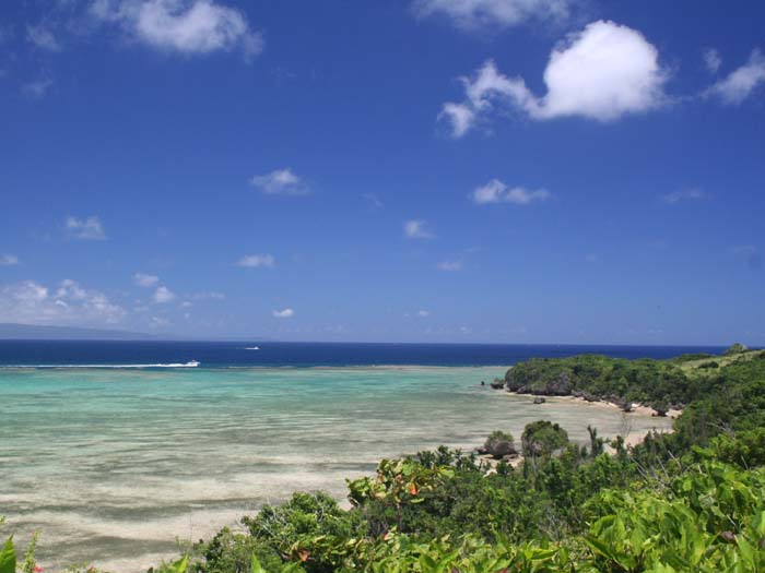 塩,天然塩,海塩,通販