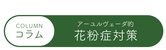 コラム花粉症対策