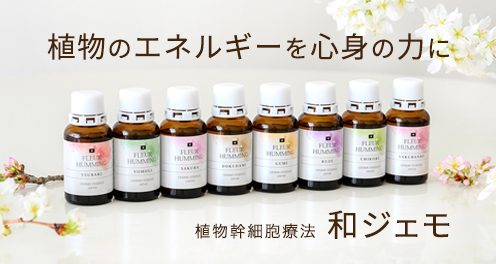 和ジェモ