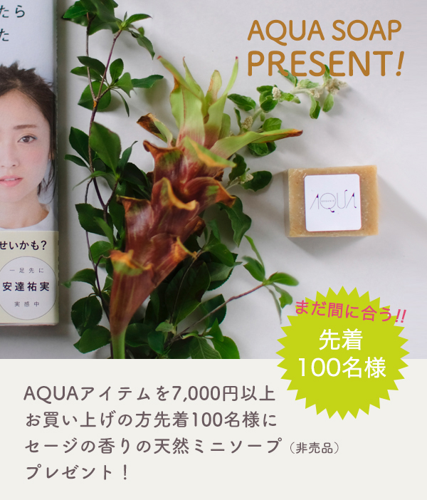 ② 未使用品 NERAIDA コーニアスローション 2個セットオリジナル