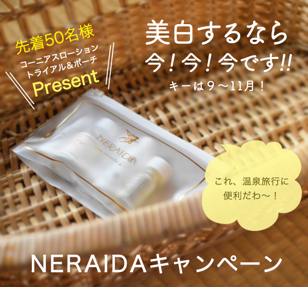 NERAIDA（ネライダ）2つ以上お買い上げで透明ポーチ＆コー