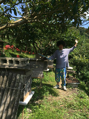 蜂蜜　非加熱　生　通販