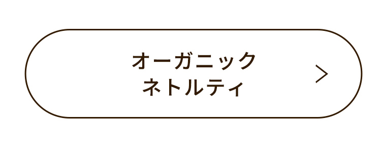 オーガニックネトルティー