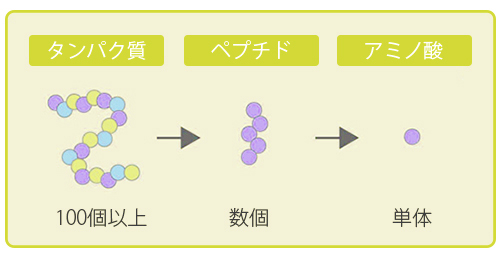 だし,出汁,無添加,自然だし,天然,化学調味料不使用,低分子,塩分不使用,糖分不使用,無脂肪,通販