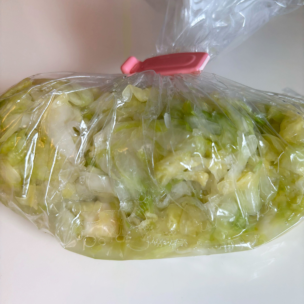 保存食乳酸発酵２