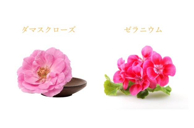 オーガニック,クレンジング,メイク落とし,無添加,通販