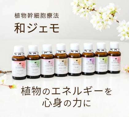和ジェモ