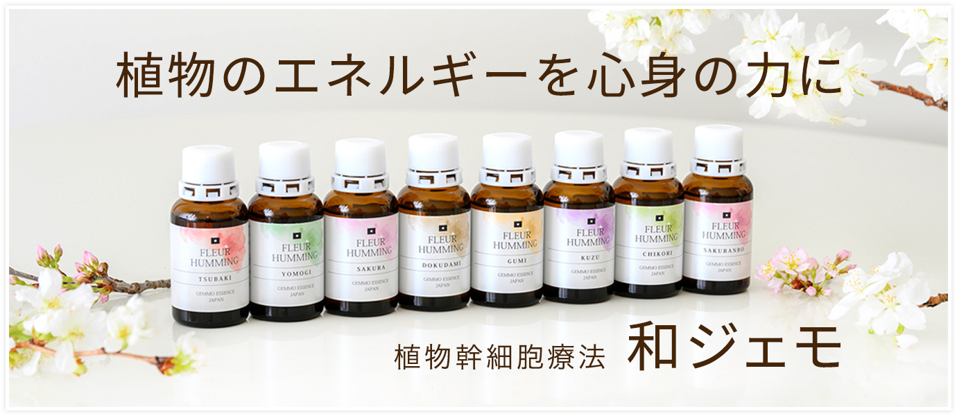 和ジェモ