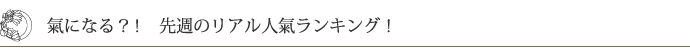 人気ランキング