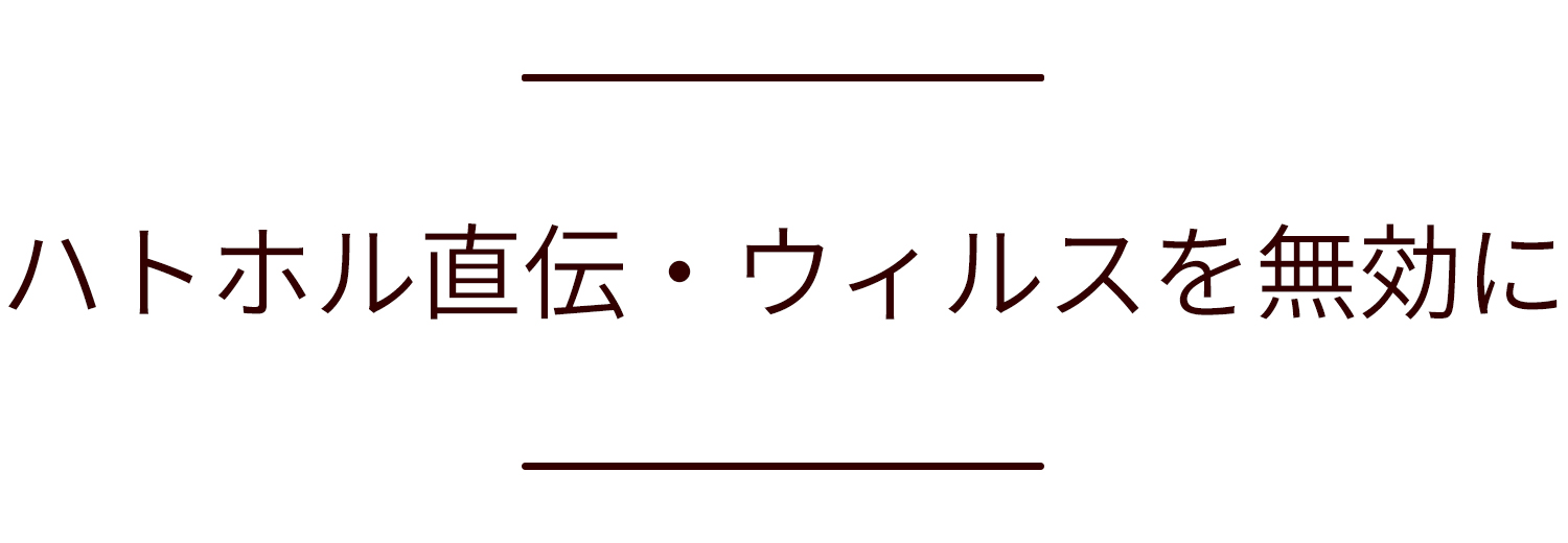 >ハトホル直伝・ウィルスを無効に