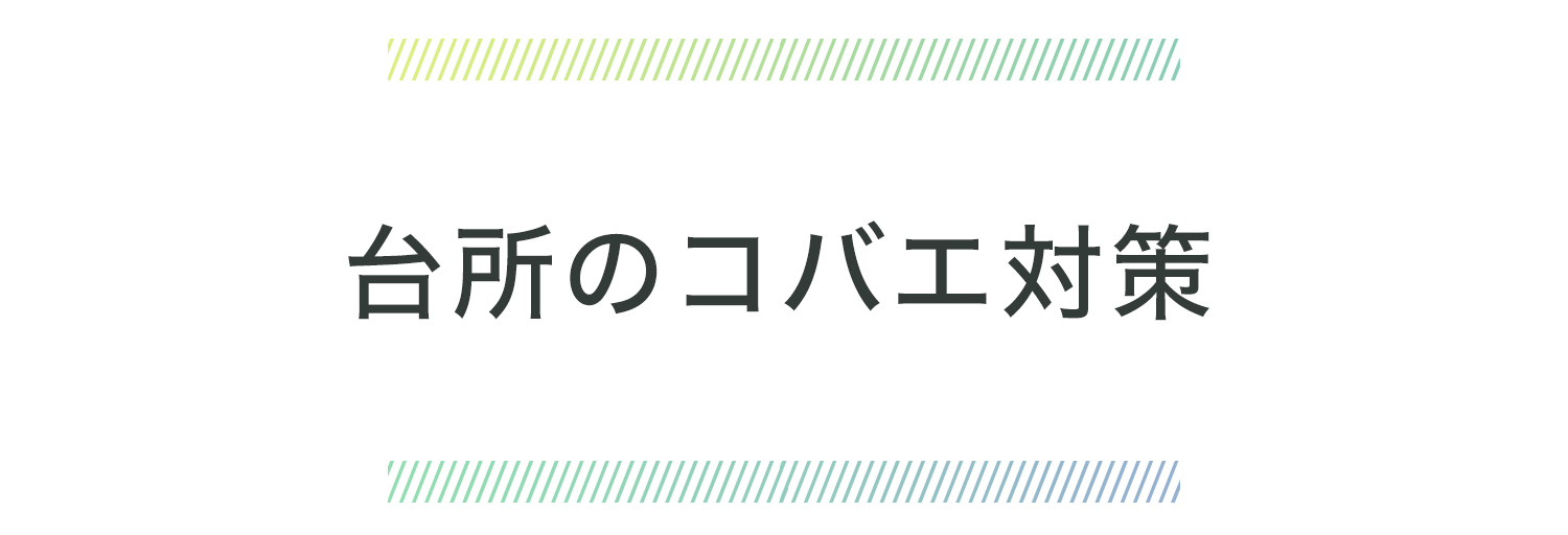 キッチンの臭いとコバエ対策