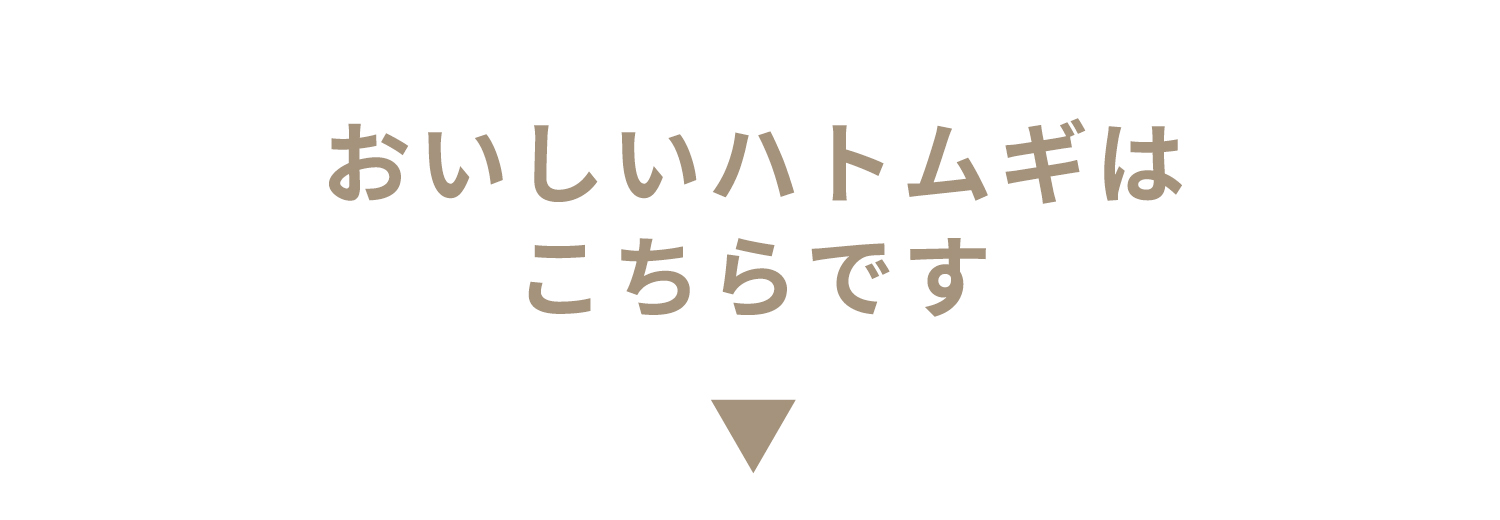 おいしいはとむぎはこちら