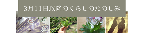 3.11以降のくらしのたのしみ