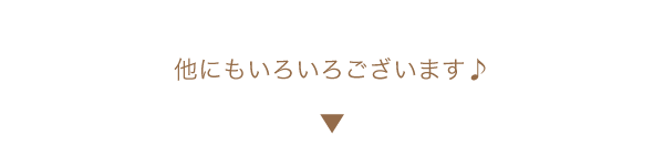 他にもいろいろ♪