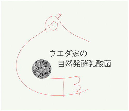 ウエダ家の自然発酵乳酸菌,便秘,乳酸菌,ぬか漬け,糠漬け,腸内環境,オーガニック,麹,マクロビオティック.通販