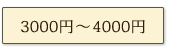 3000～4000円ギフト