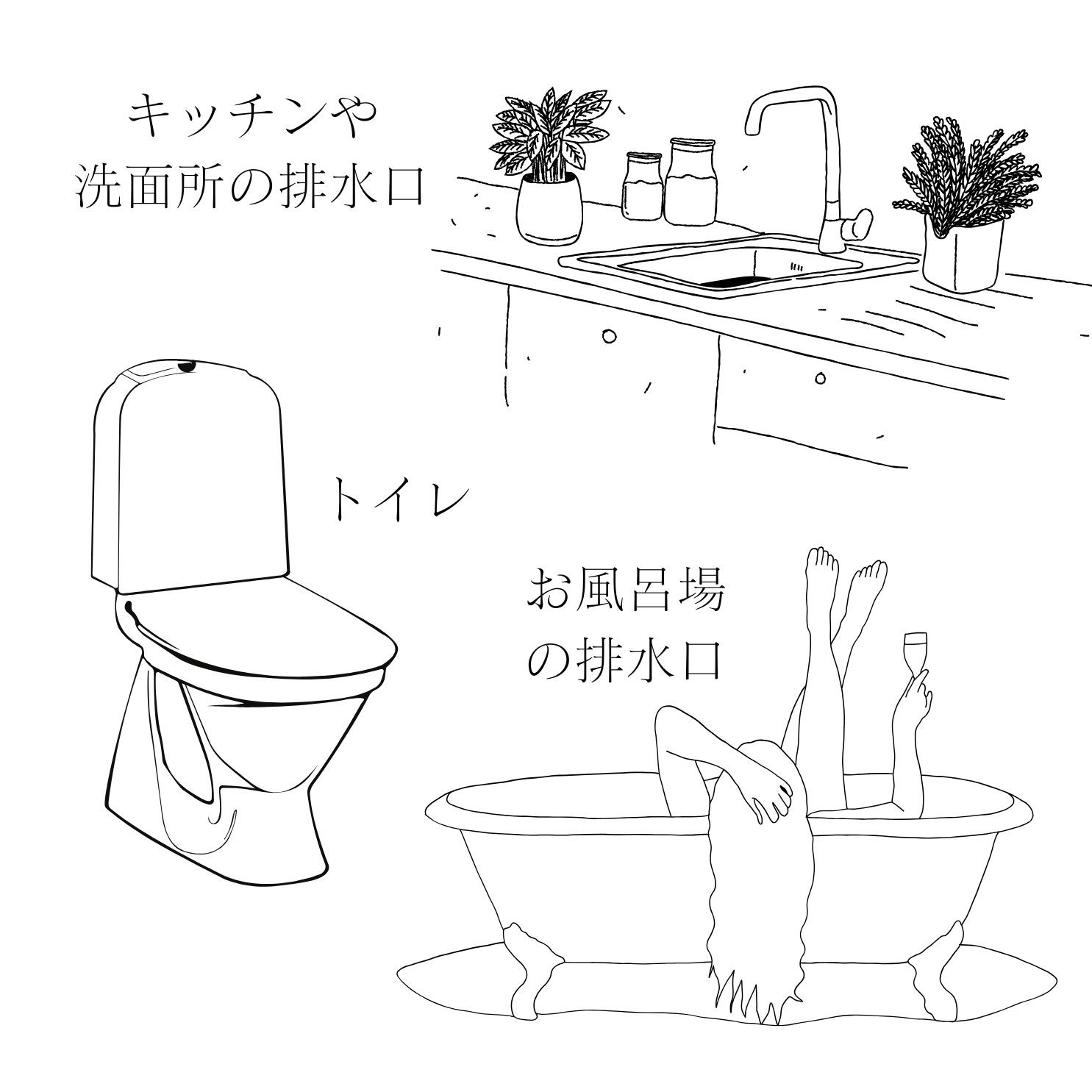 ゼロパウダー,カムナプランニング,通販