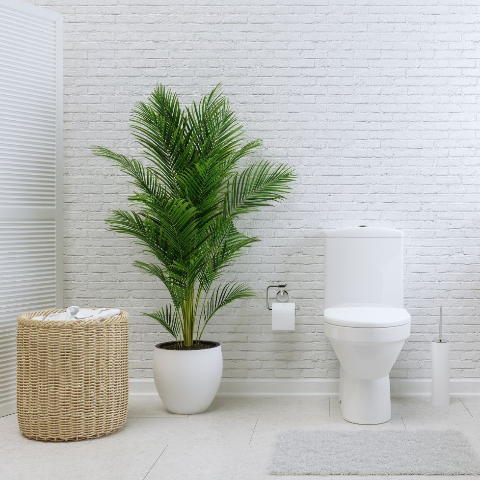 浄化パウダー,ゼロ磁場,浄化,シリカ,エネルギー,通販